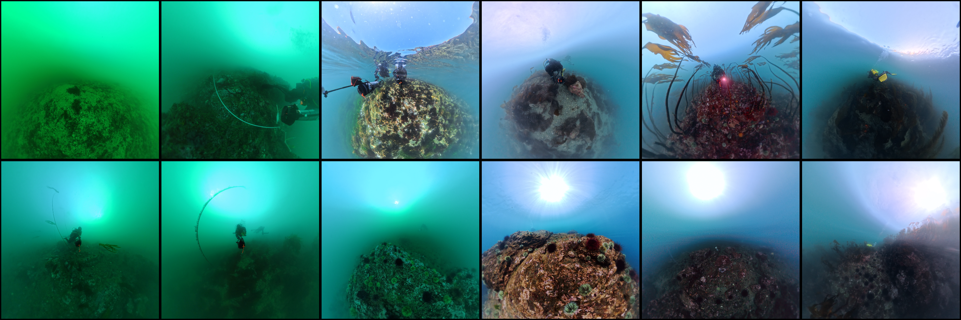 Twelve tiny-world views from SeaOrb underwater surveys