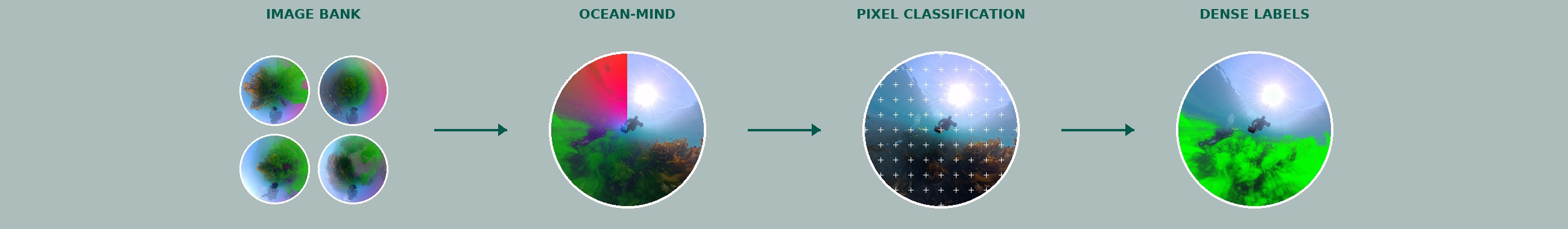 SeaOrb pipeline from a tiny-world image bank through Ocean-Mind and pixel classification to dense labels